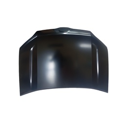 Bonnet Hood Toyota Probox Succeed 2014 Onwards