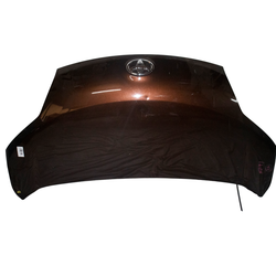 Bonnet Hood Toyota Porte NCP141 2012