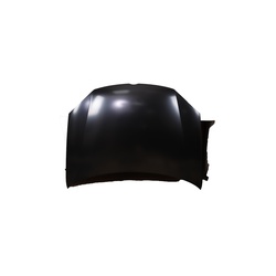 Bonnet Volkswagen Golf 5 03-08